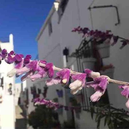 فيلا Casa Arena Y Sal En Pleno Casco Antiguo De Vejer مْبيخير ذي لا فرونتيرا المظهر الخارجي الصورة