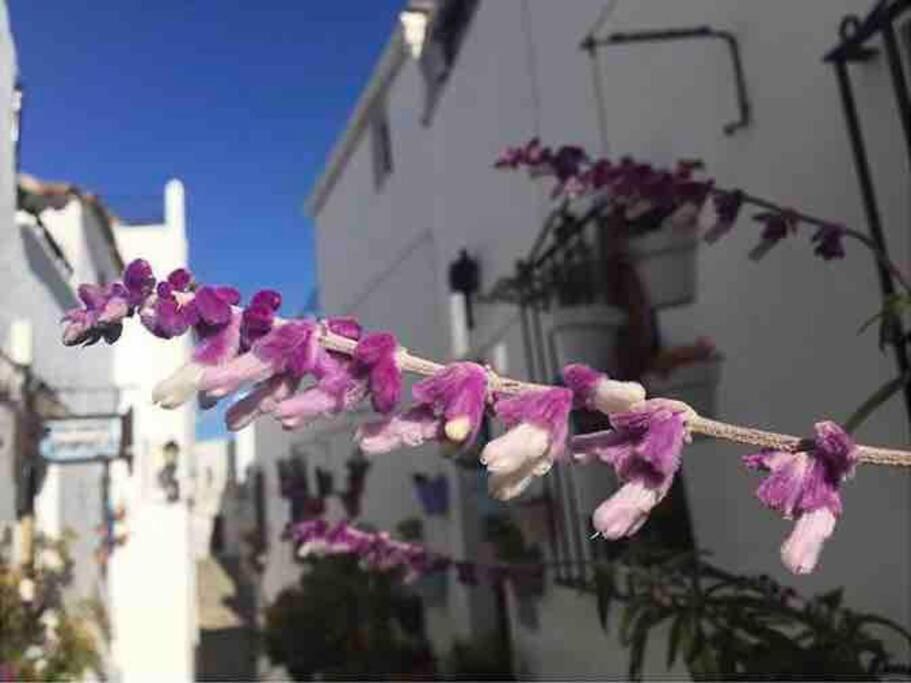 فيلا Casa Arena Y Sal En Pleno Casco Antiguo De Vejer مْبيخير ذي لا فرونتيرا المظهر الخارجي الصورة